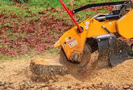 Best Soil Testing and Treatment  in West Belmar, NJ