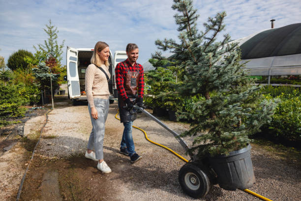 Best Sod Installation  in West Belmar, NJ